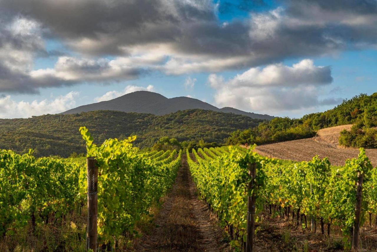Apartmán Castello Ginori Di Querceto Querceto  Exteriér fotografie