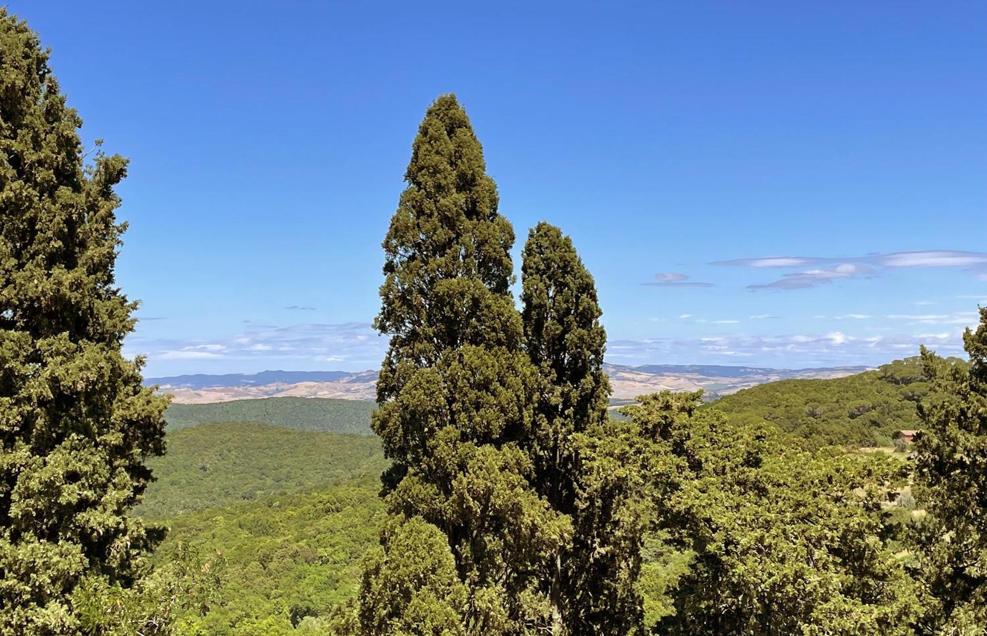 Apartmán Castello Ginori Di Querceto Querceto  Exteriér fotografie